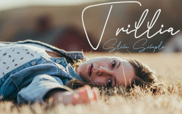 Bring Charm to Your Creations with Slim Simple Font