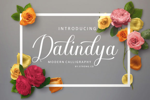 Dalinya: A Script Amp Font for Elegant Projects