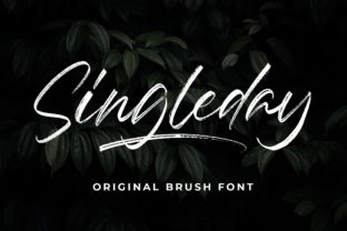 Elevate Your Web Design with Singleday Font