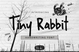 Enhance Your Web Design with Tiny Rabbit Font