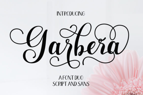Garbera Duo: A Perfect Font for Elegant Branding