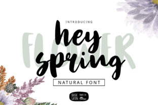 Hey Spring: A Charming Script Font for Web Design