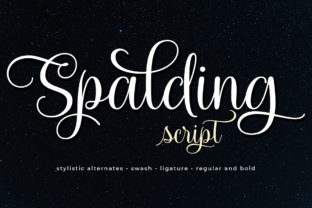 Spalding: A Playful Script Font for Elegant Branding